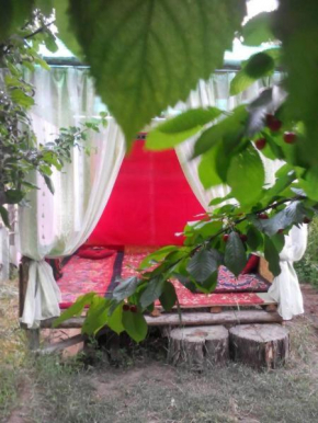 Гостиница Guest House Dinara  Каджи-Сай
